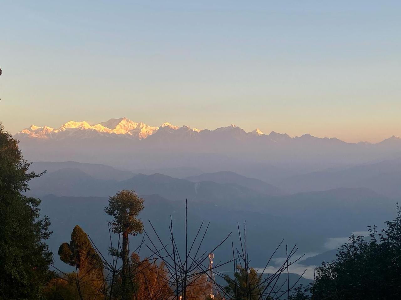 Forest - 80 Mts From Mall Road Darjeeling (West Bengal)