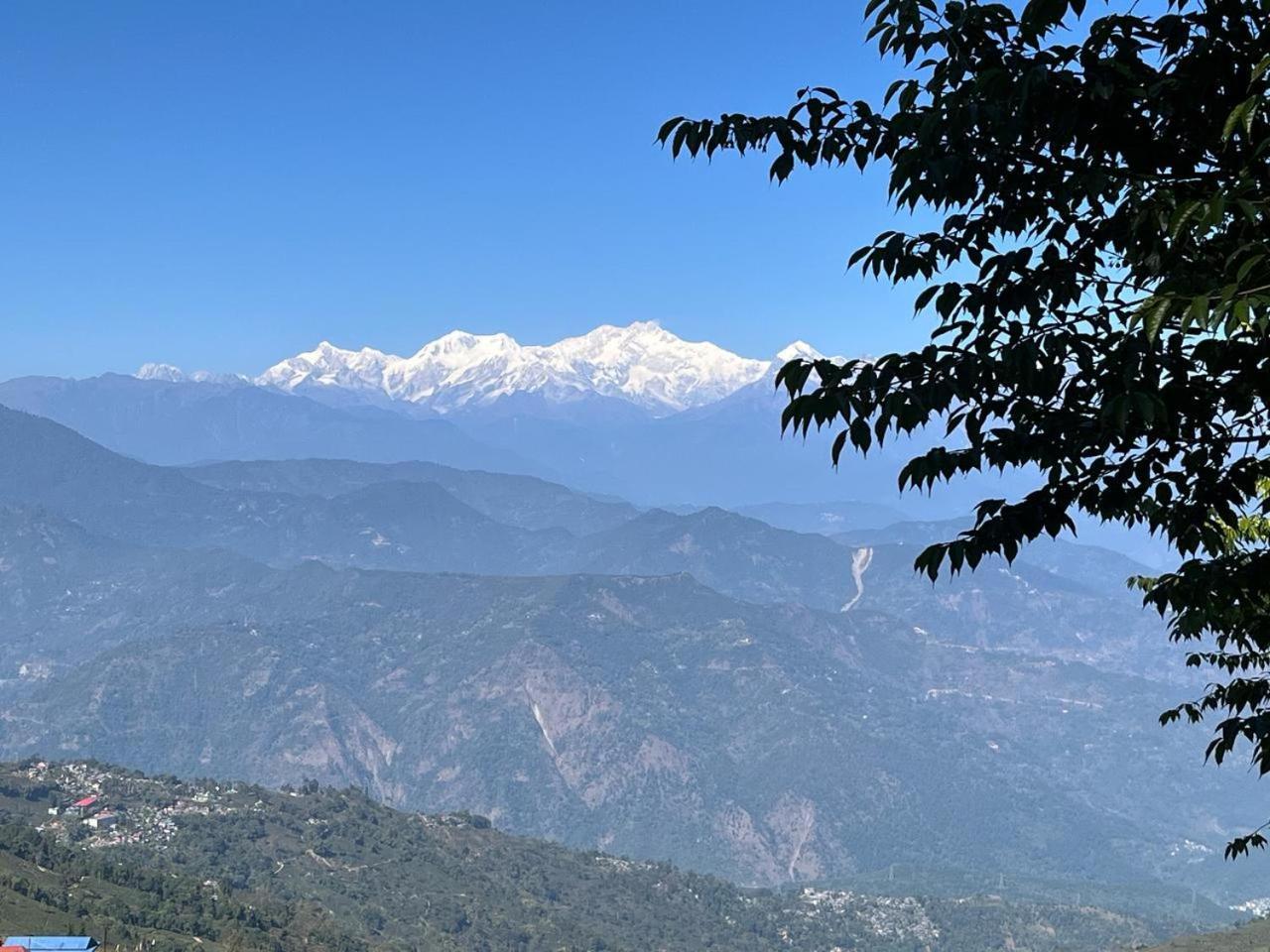 Forest - 80 Mts From Mall Road Homestay *