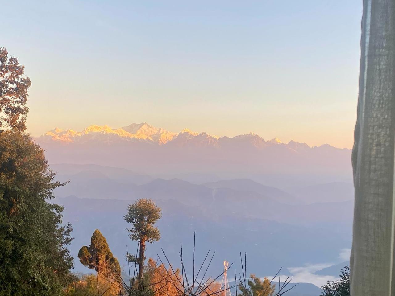Forest - 80 Mts From Mall Road Homestay Darjeeling (West Bengal)