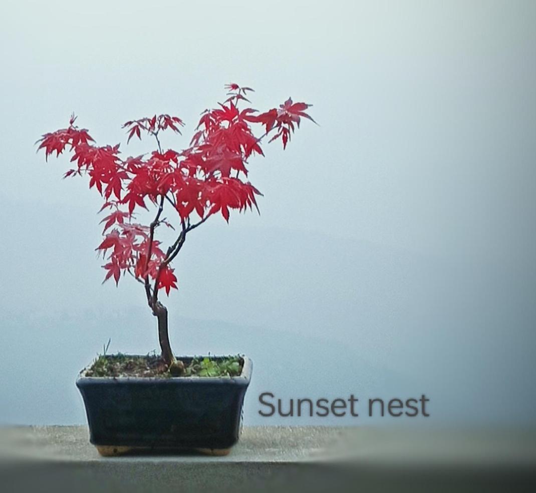 The Sunset Nest Offbeat Homestay *