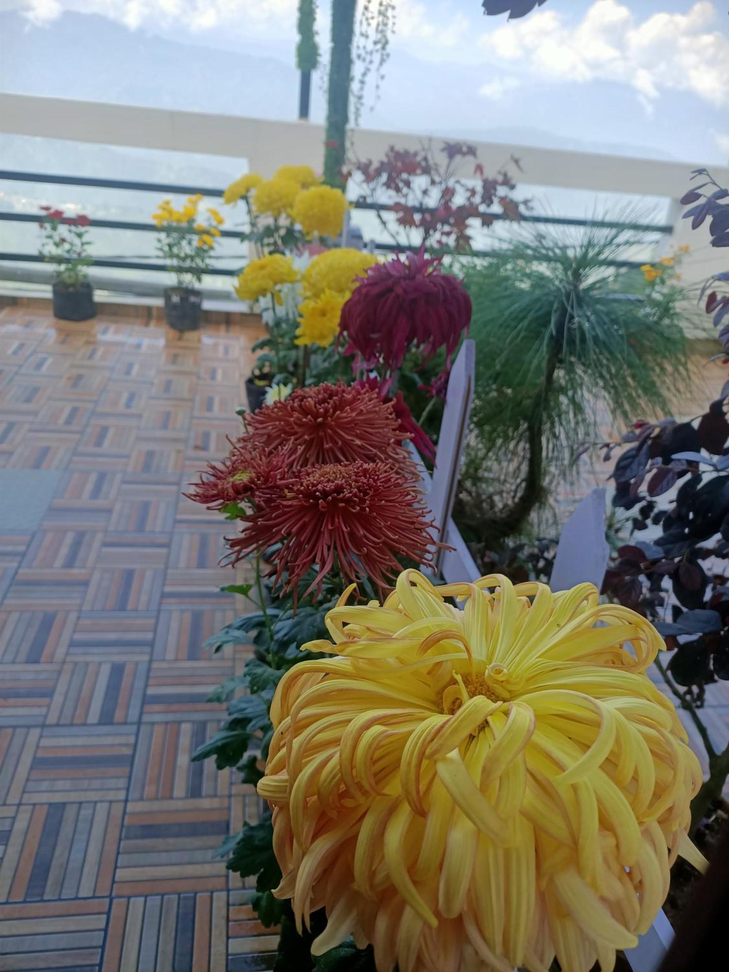Homestay The Sunset Nest Offbeat Homestay *