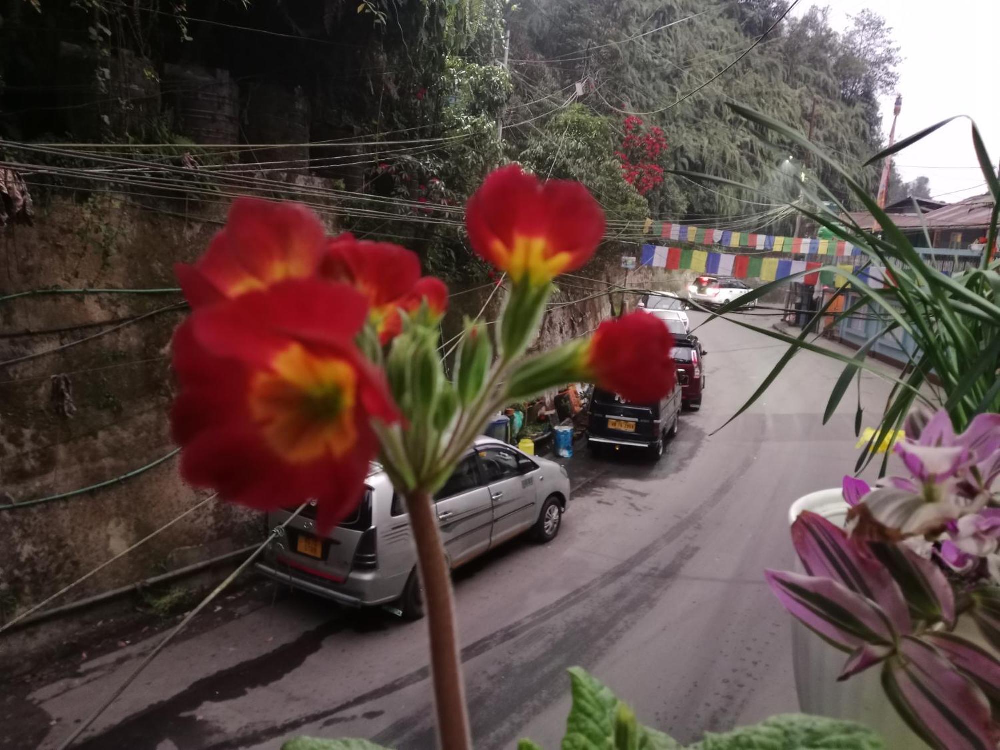Homestay Bina Darjeeling Darjeeling (West Bengal)
