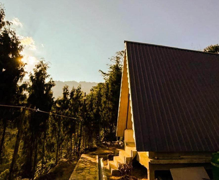 Homestay Cozy Nest Homestay Darjeeling (West Bengal)