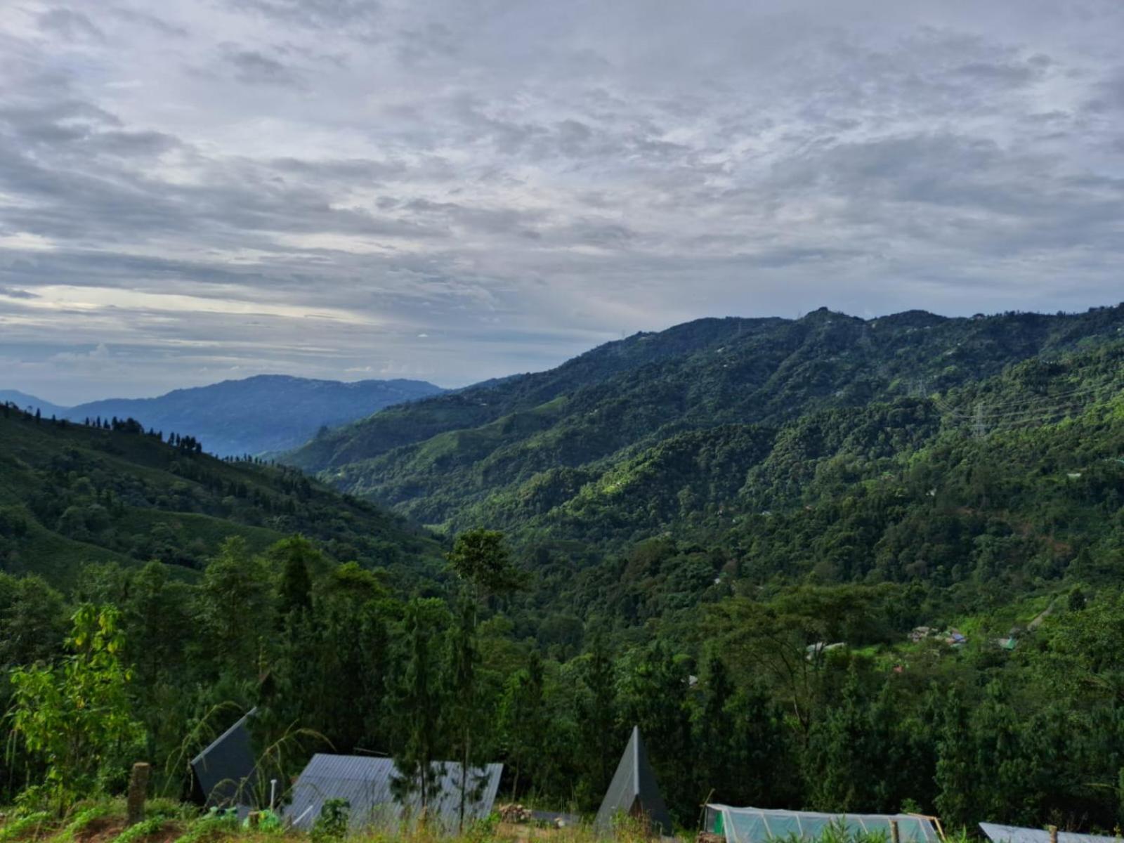 Cozy Nest Homestay Homestay Darjeeling (West Bengal)