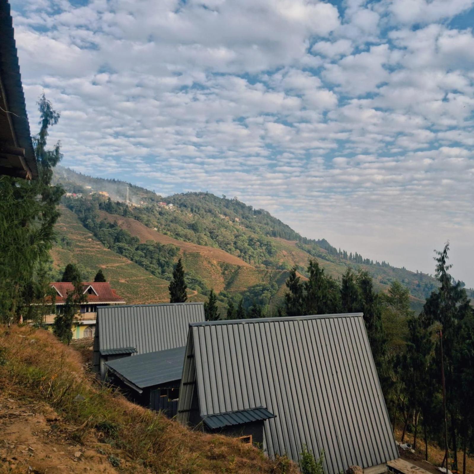 Cozy Nest Homestay Homestay Darjeeling (West Bengal)