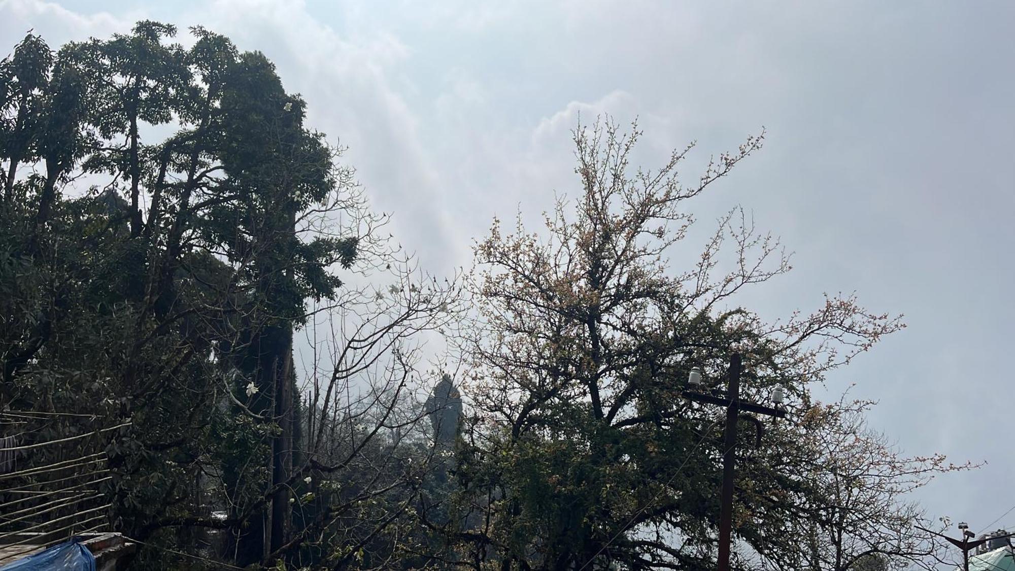 Homestay Himalayan Santi 2 Darjeeling (West Bengal)