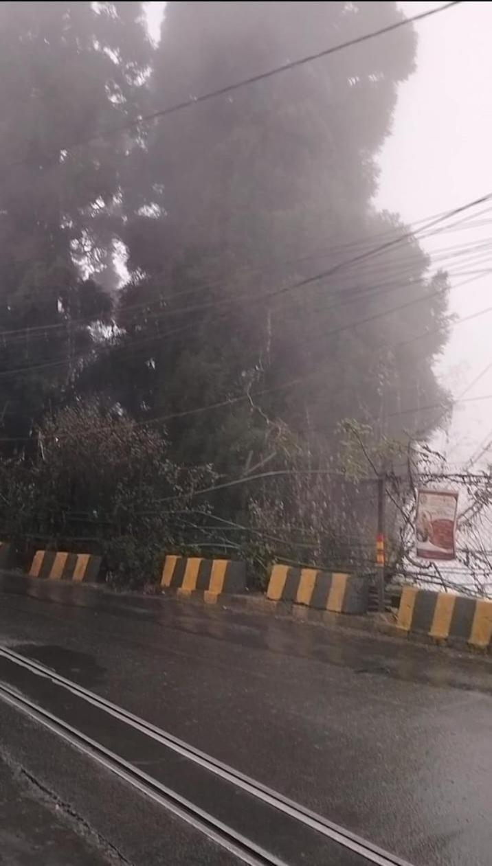 Himalayan Queen * Darjeeling (West Bengal)