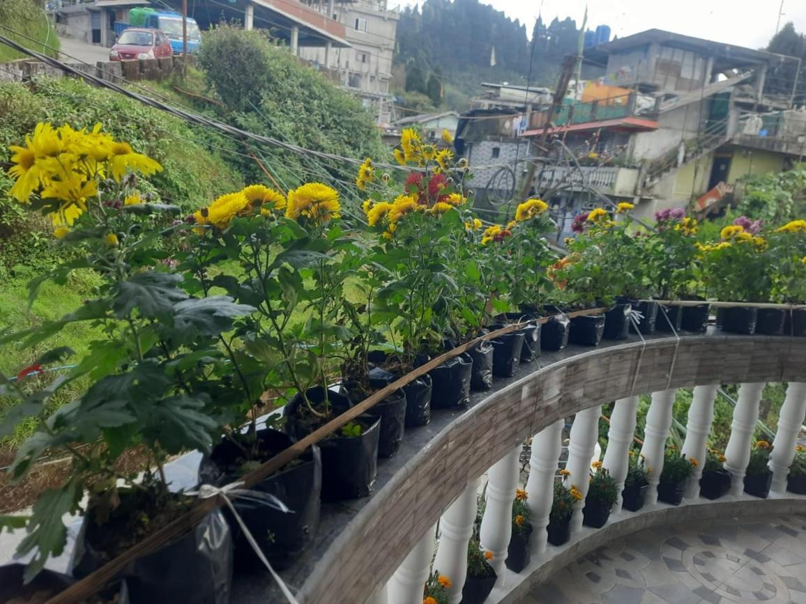 Shantikunj Homestay-upper Batasia, Darjeeling Darjeeling (West Bengal)