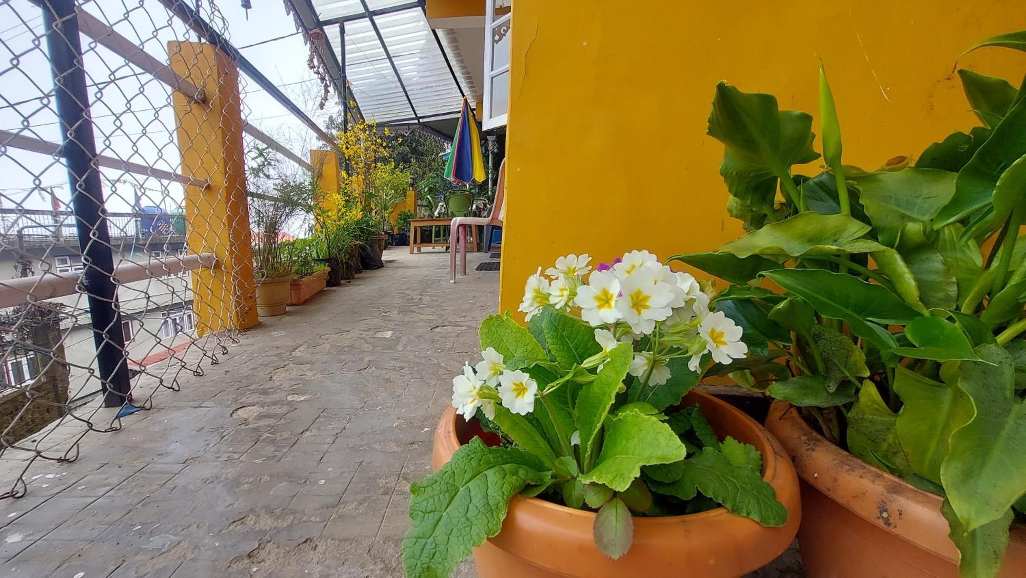 Homestay Viraj Kunj Darjeeling (West Bengal)