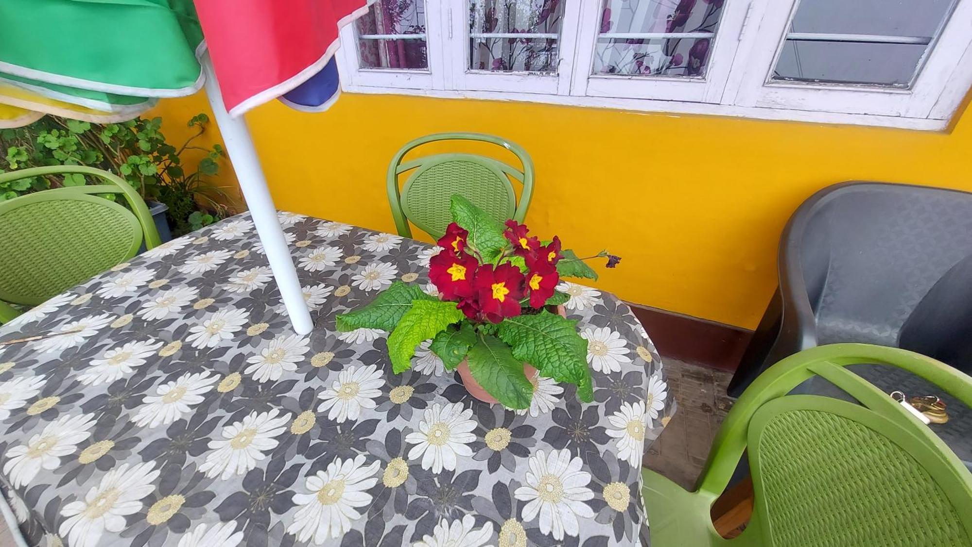 Viraj Kunj Homestay Darjeeling (West Bengal)