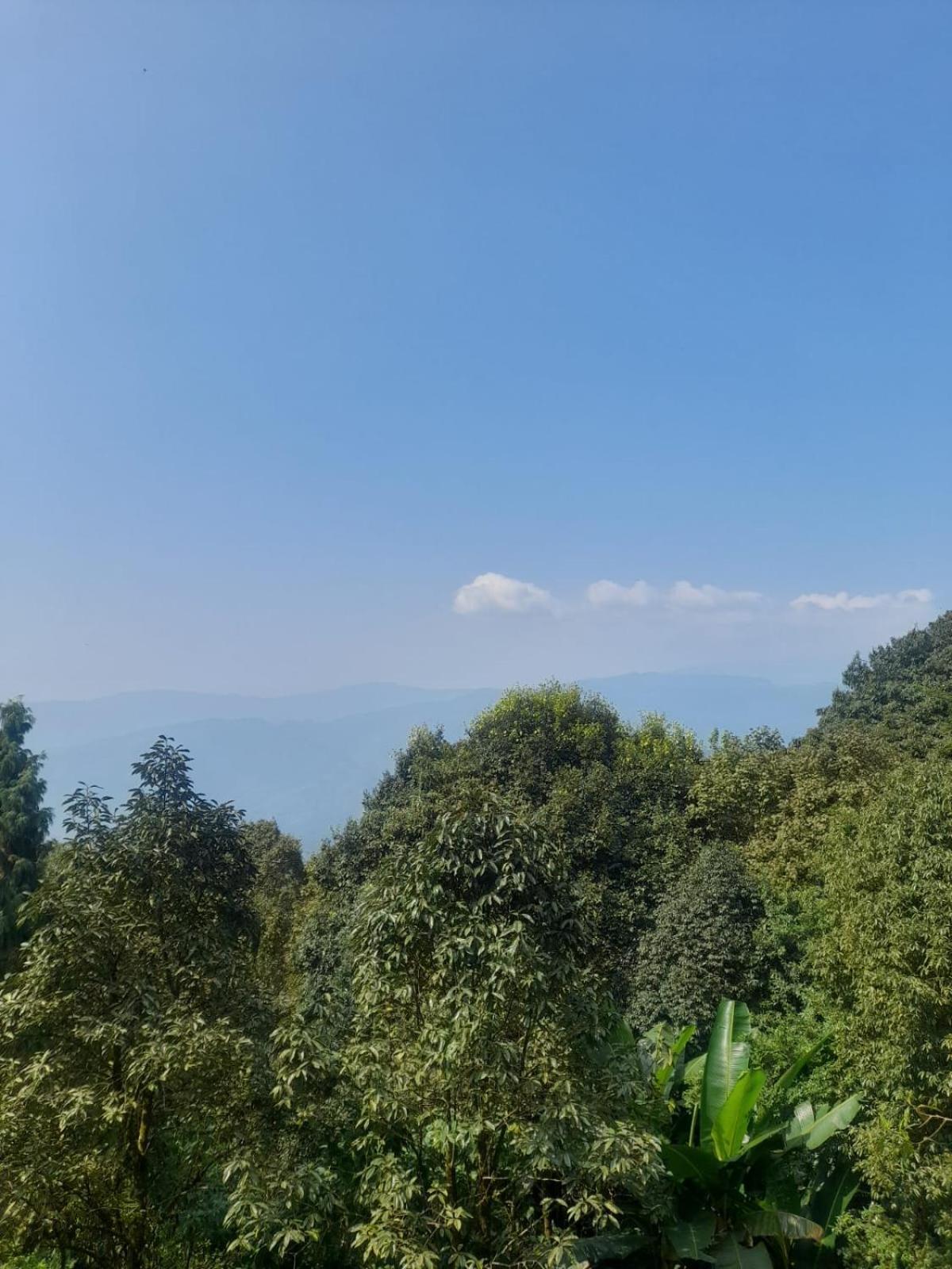 Eden Darjeeling (West Bengal)