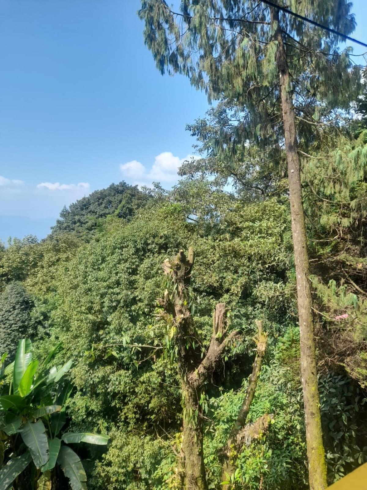 Eden * Darjeeling (West Bengal)