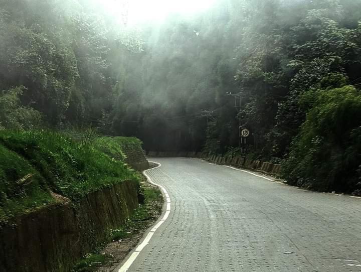 Misty Mountain Homestay, Darjeeling Homestay *