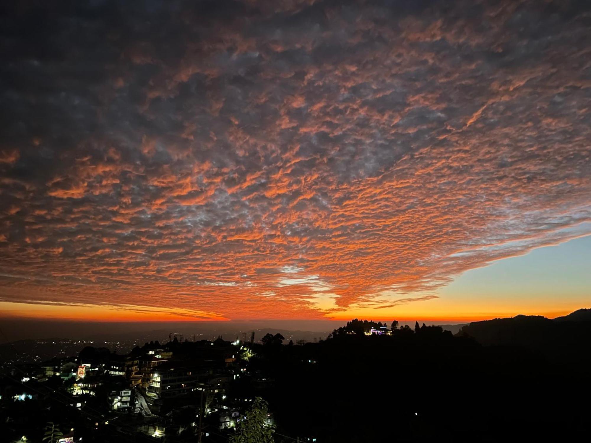 Aamo * Darjeeling (West Bengal)