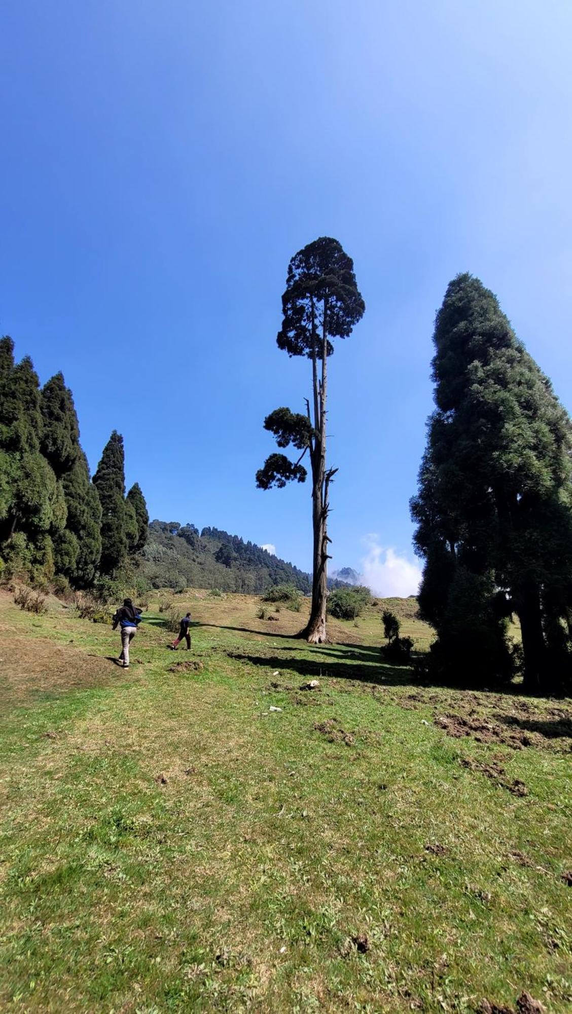 Homestay Mane Dara Darjeeling (West Bengal)