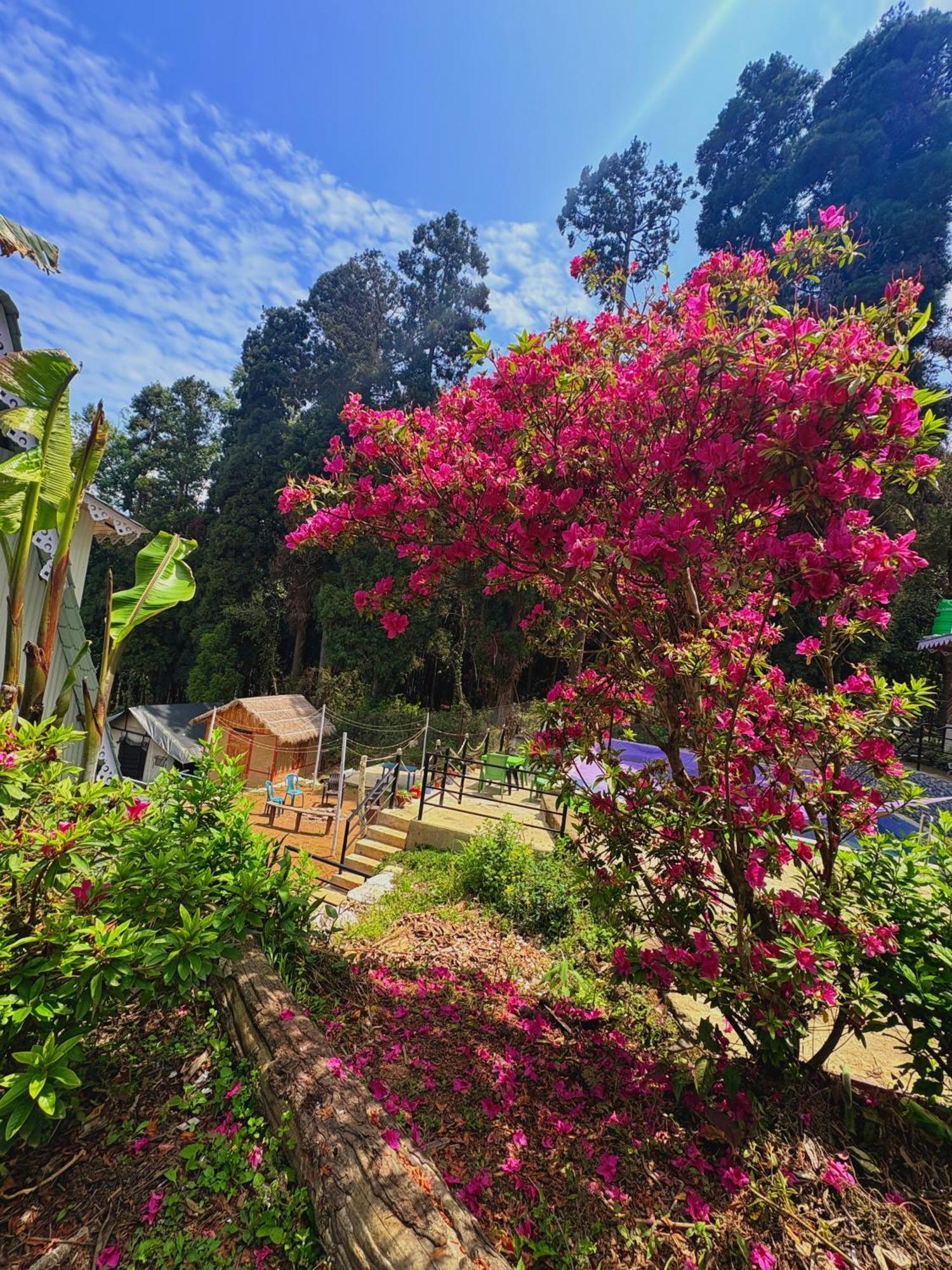 Homestay Sampriti Gharbas Darjeeling (West Bengal)