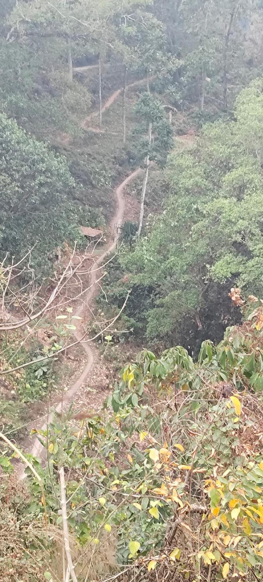 Dsd Bomzon Darjeeling (West Bengal)