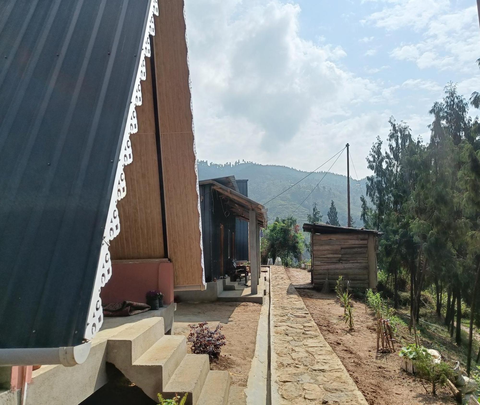 Cozy Nest Homestay *