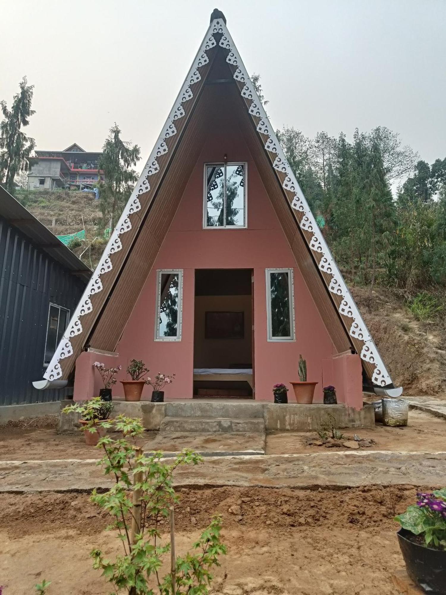 Cozy Nest Homestay Homestay *