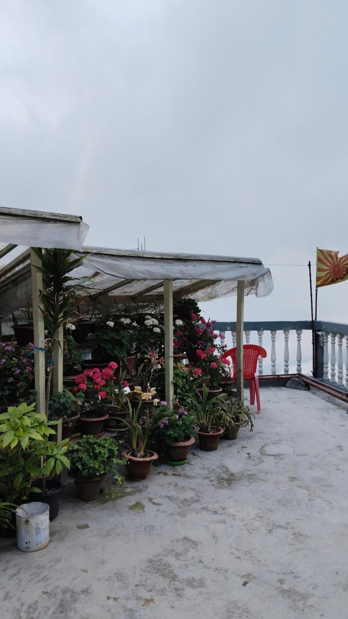 Hotel Hotel Sakura Mountain View 10 Mins From Mall Road *