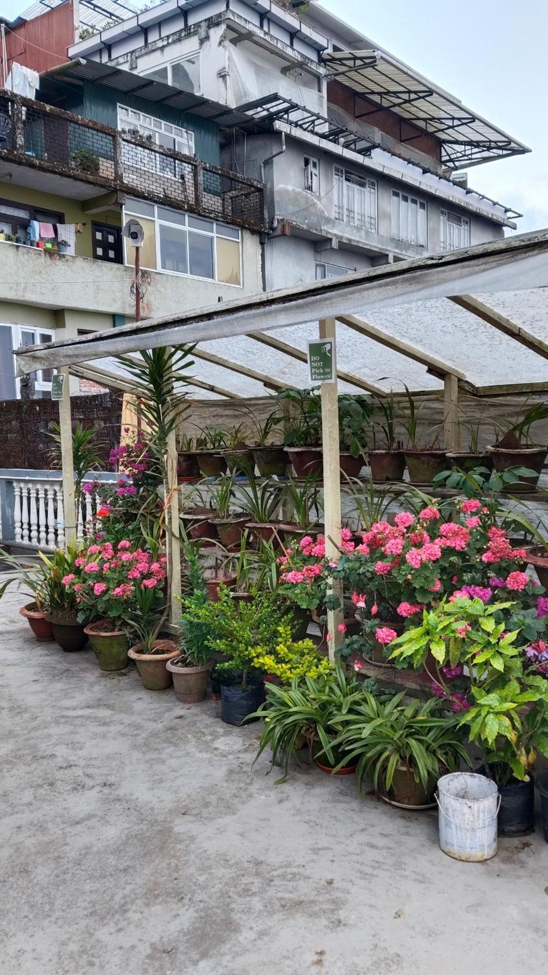 Hotel Sakura Mountain View 10 Mins From Mall Road Hotel Darjeeling (West Bengal)
