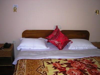 Homestay Tripvillas @ Snow Lion *
