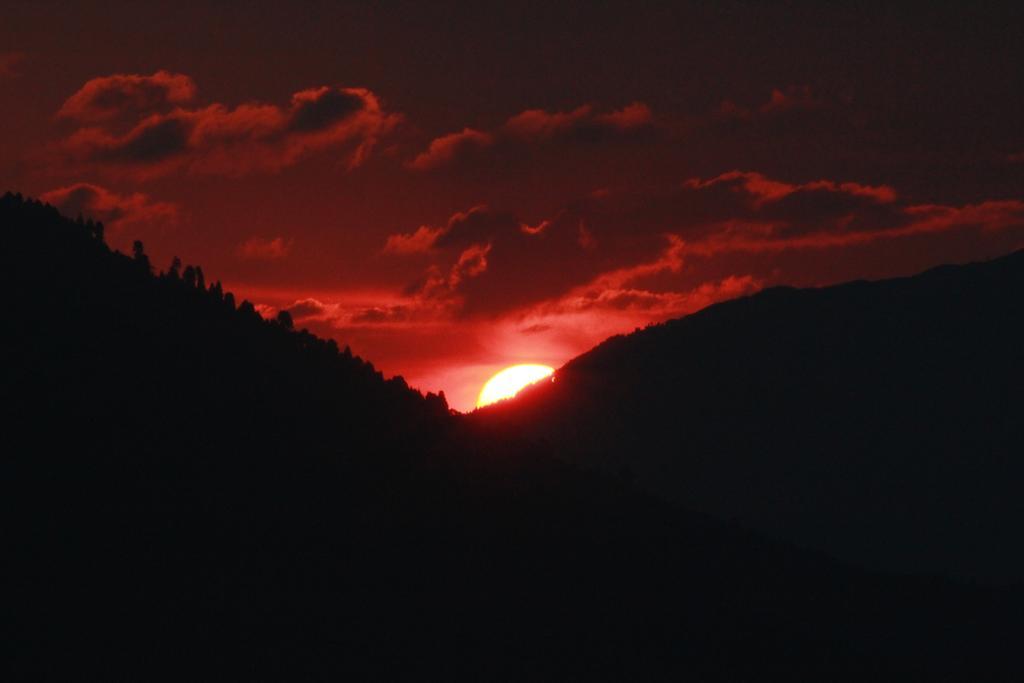 Happy Valley Darjeeling (West Bengal)