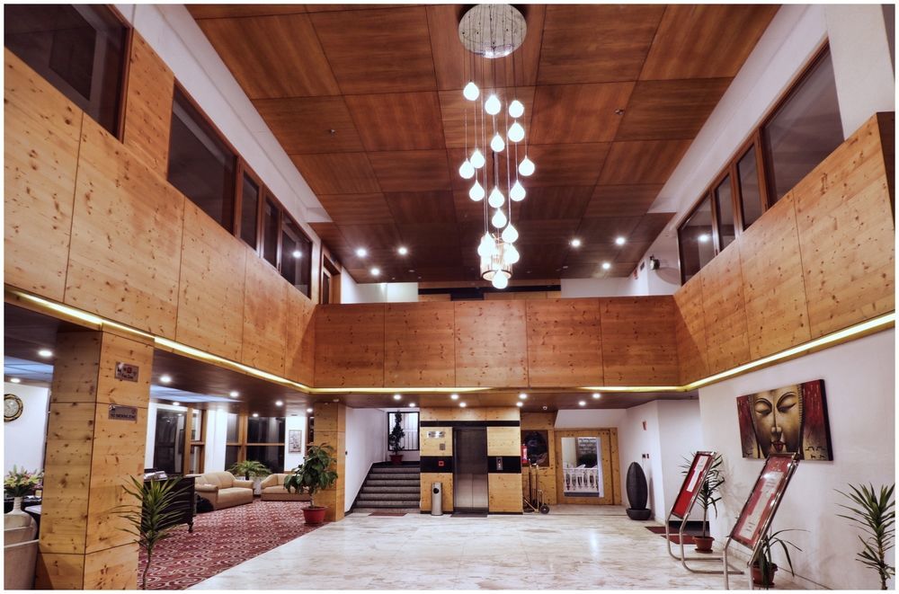 Hotel Pine Tree And 3*
