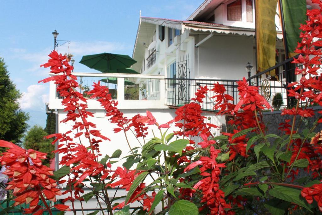 Little Tibet Mall Road Hotel Darjeeling (West Bengal)