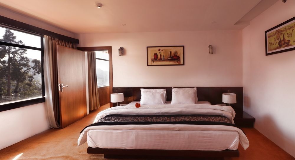 Hotel Pine Tree And 3*