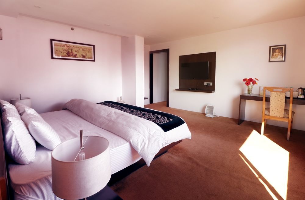 Hotel Pine Tree And 3*
