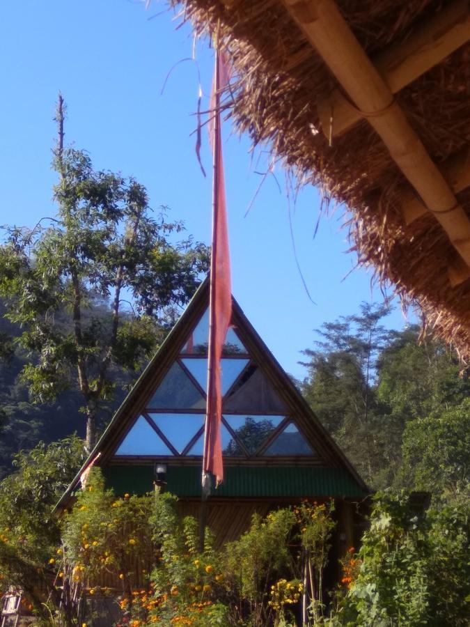 Bamboo And Atv Park