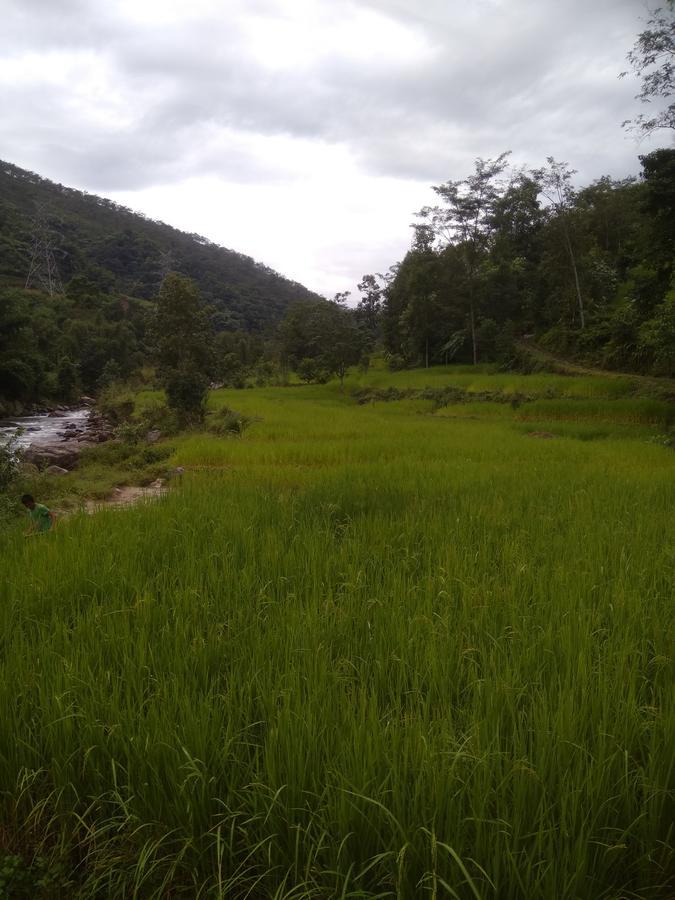 Bamboo And Atv Park
