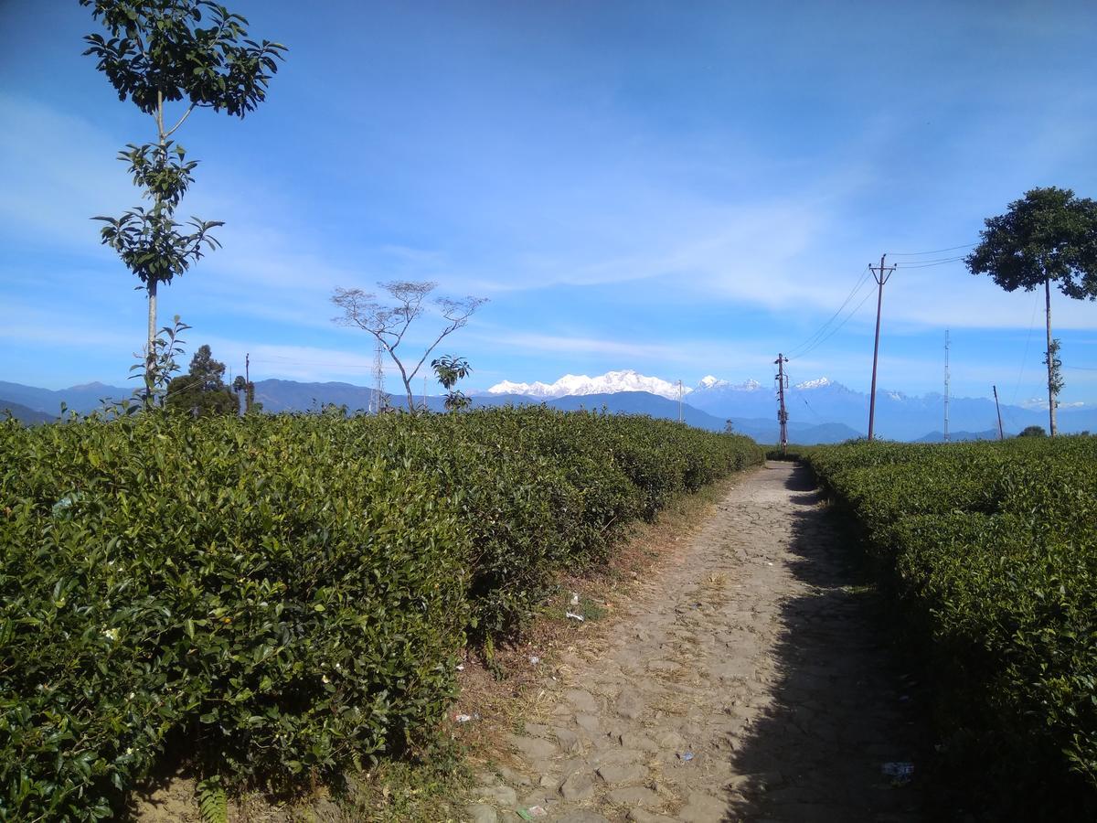 Bamboo And Atv Park * Darjeeling (West Bengal)