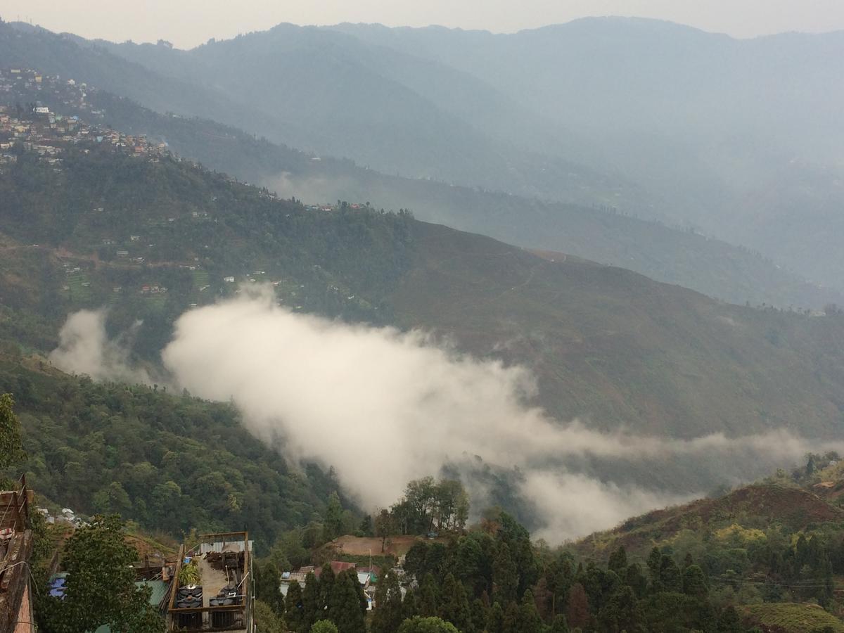 Smriya * Darjeeling (West Bengal)