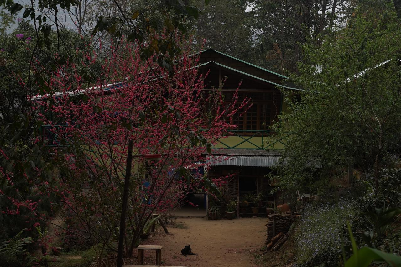 Tathagata Farm Darjeeling (West Bengal)