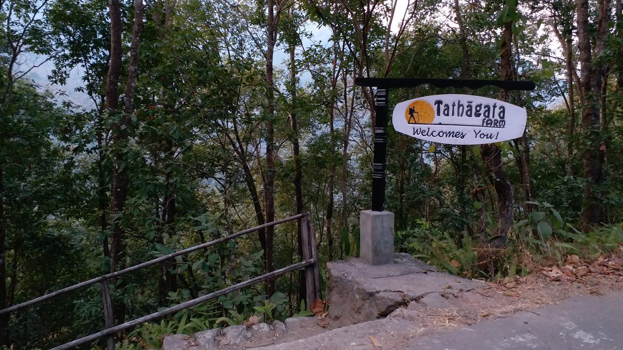 Tathagata Farm Farm stay *