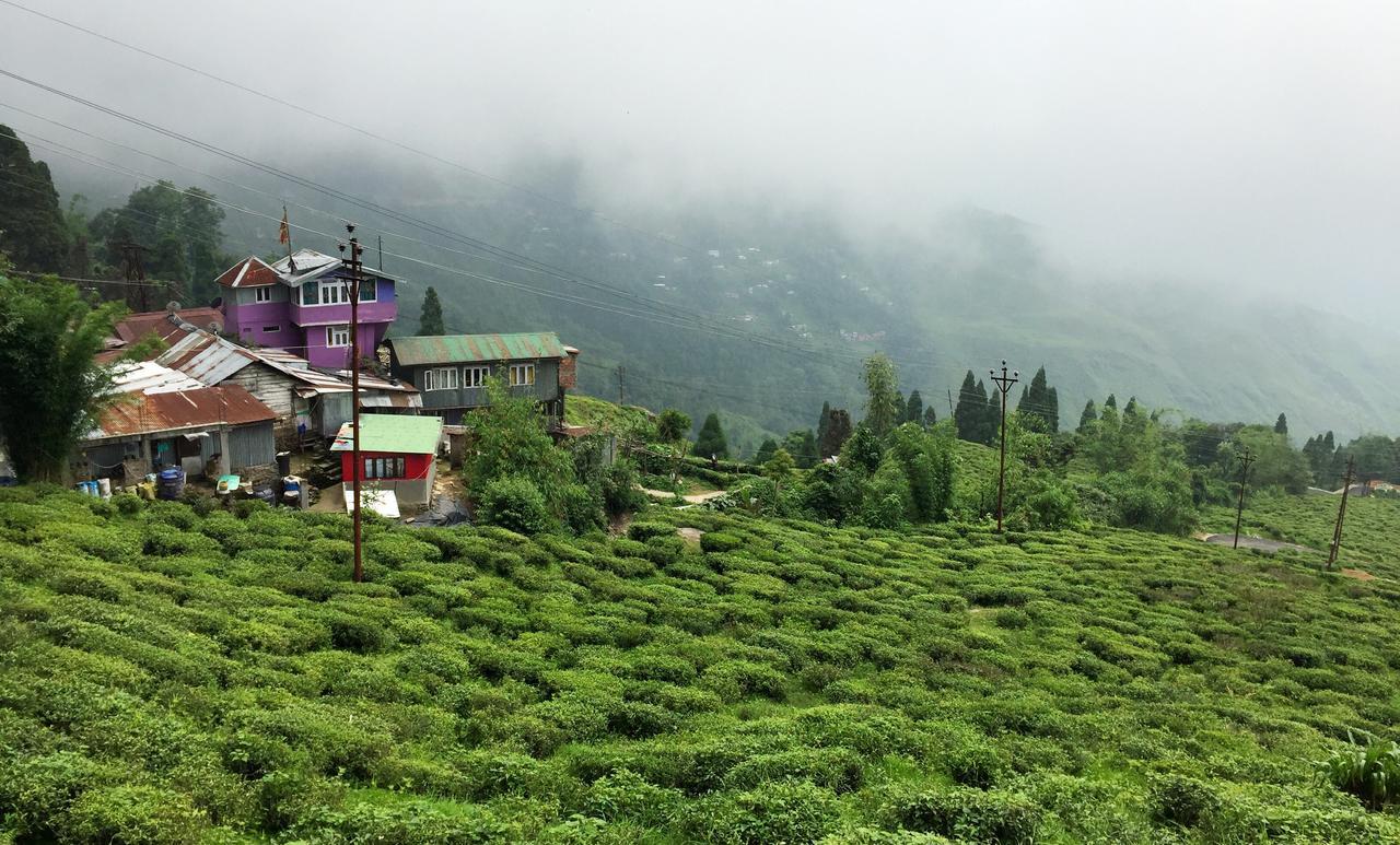 Homestay Darjeeling Heights - A Boutique Mountain View Darjeeling (West Bengal)