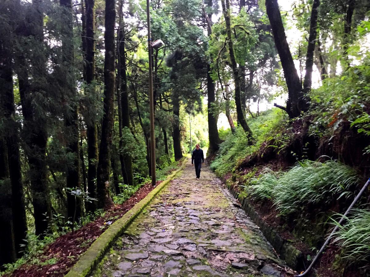Homestay Darjeeling Heights - A Boutique Mountain View Darjeeling (West Bengal)