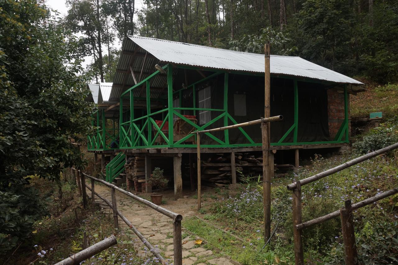 Tathagata Farm * Darjeeling (West Bengal)