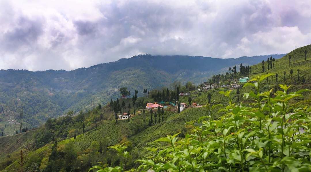 Chamong Chiabari - Mountain Retreat & 5* Darjeeling (West Bengal)
