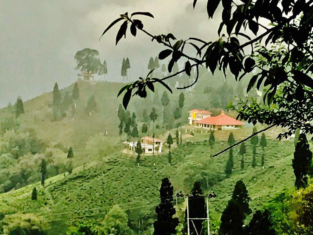 Chamong Chiabari - Mountain Retreat & 5* Darjeeling (West Bengal)