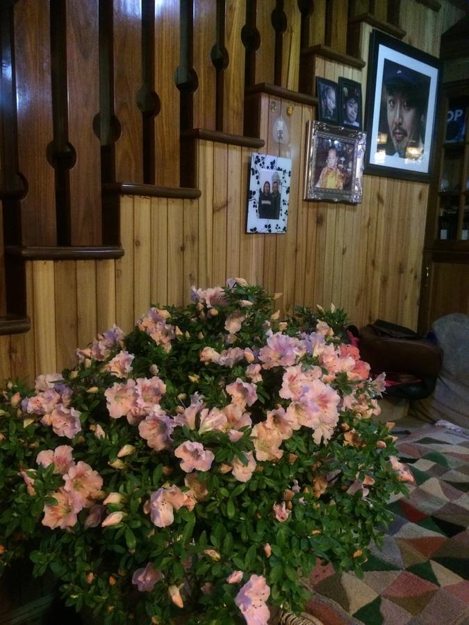 Homestay Ngawang Homestay *