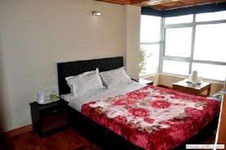 Hotel Dreamland *