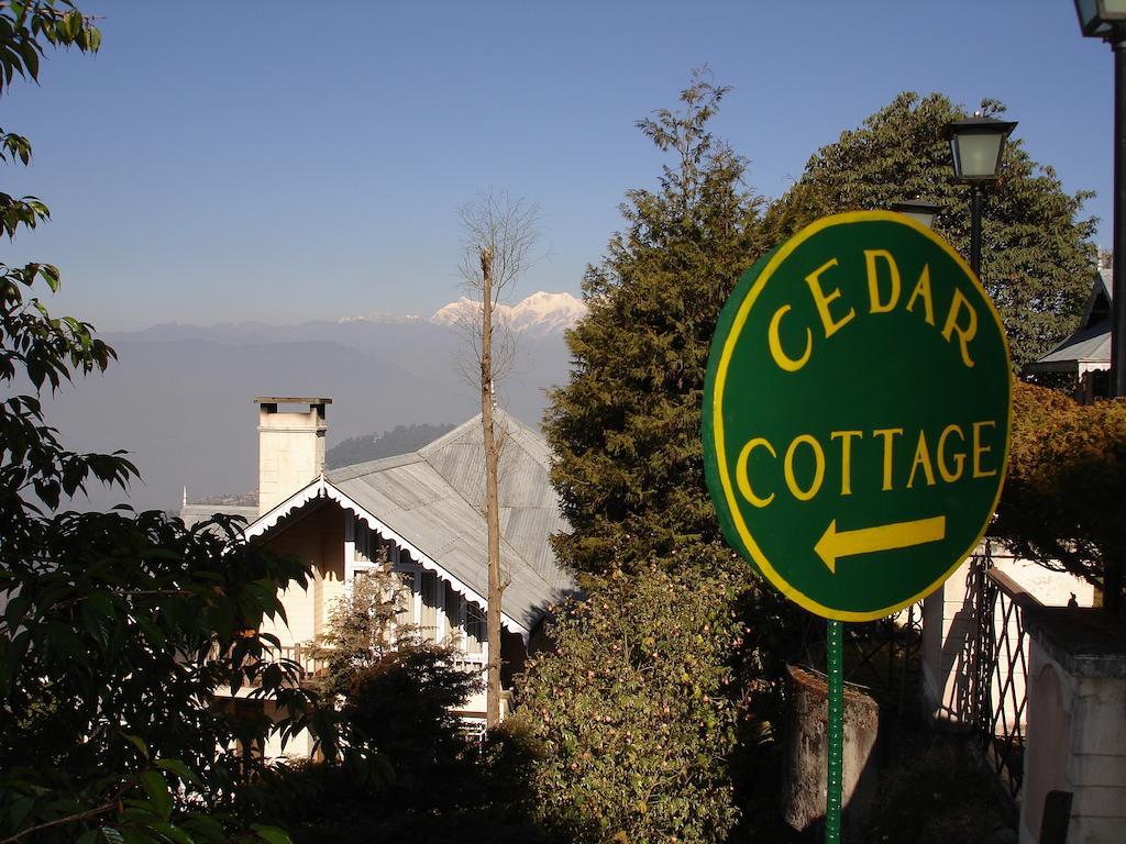 Cedar 4*