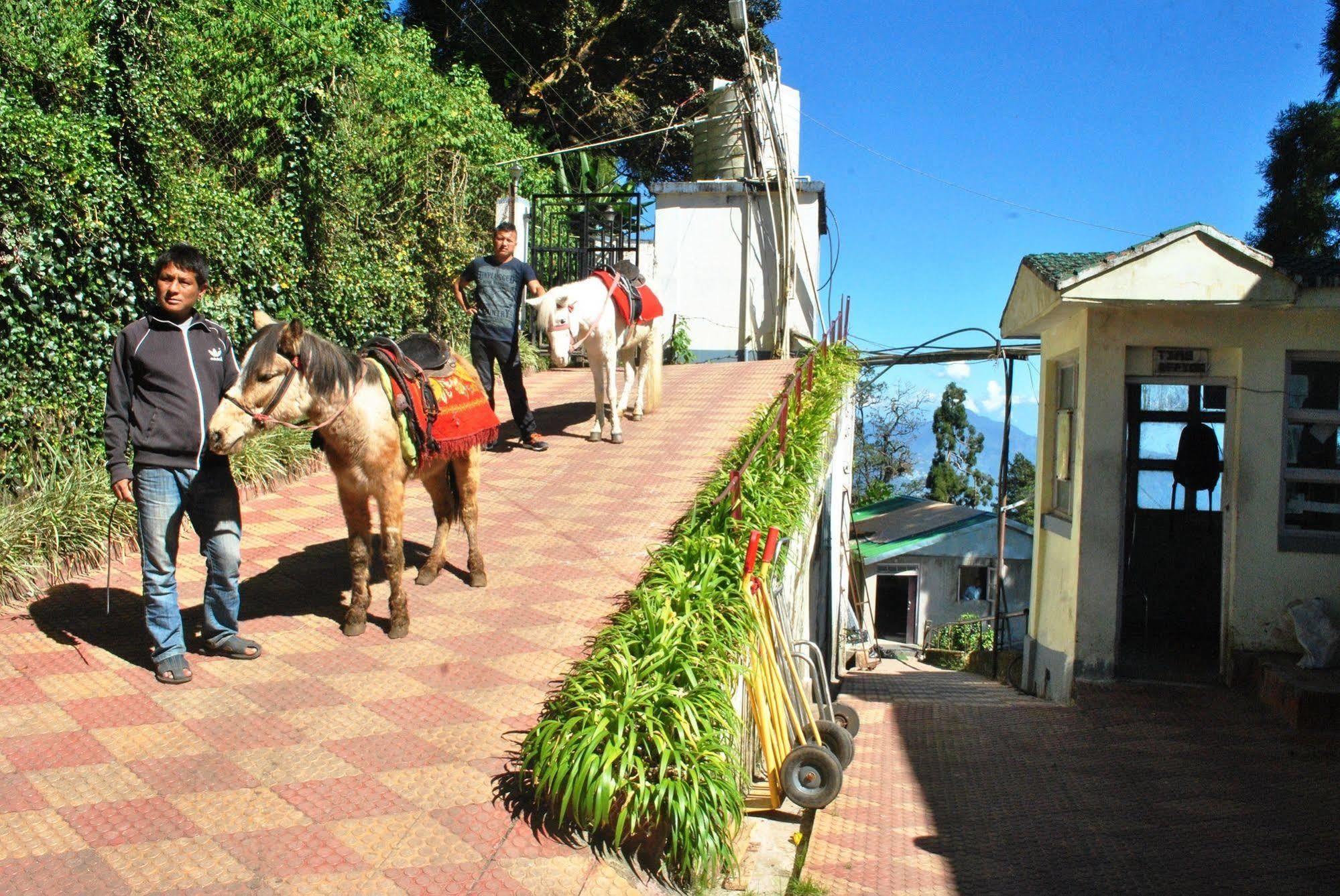 Nirvana Hotel