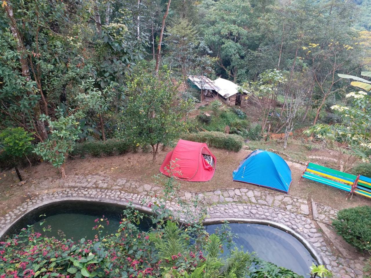 Tathagata Farm * Darjeeling (West Bengal)