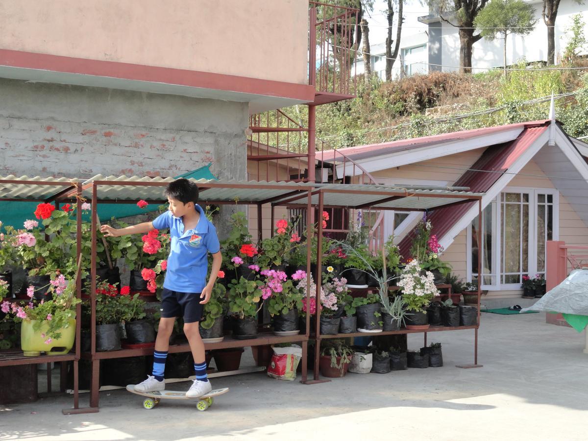 Little Singamari * Darjeeling (West Bengal)