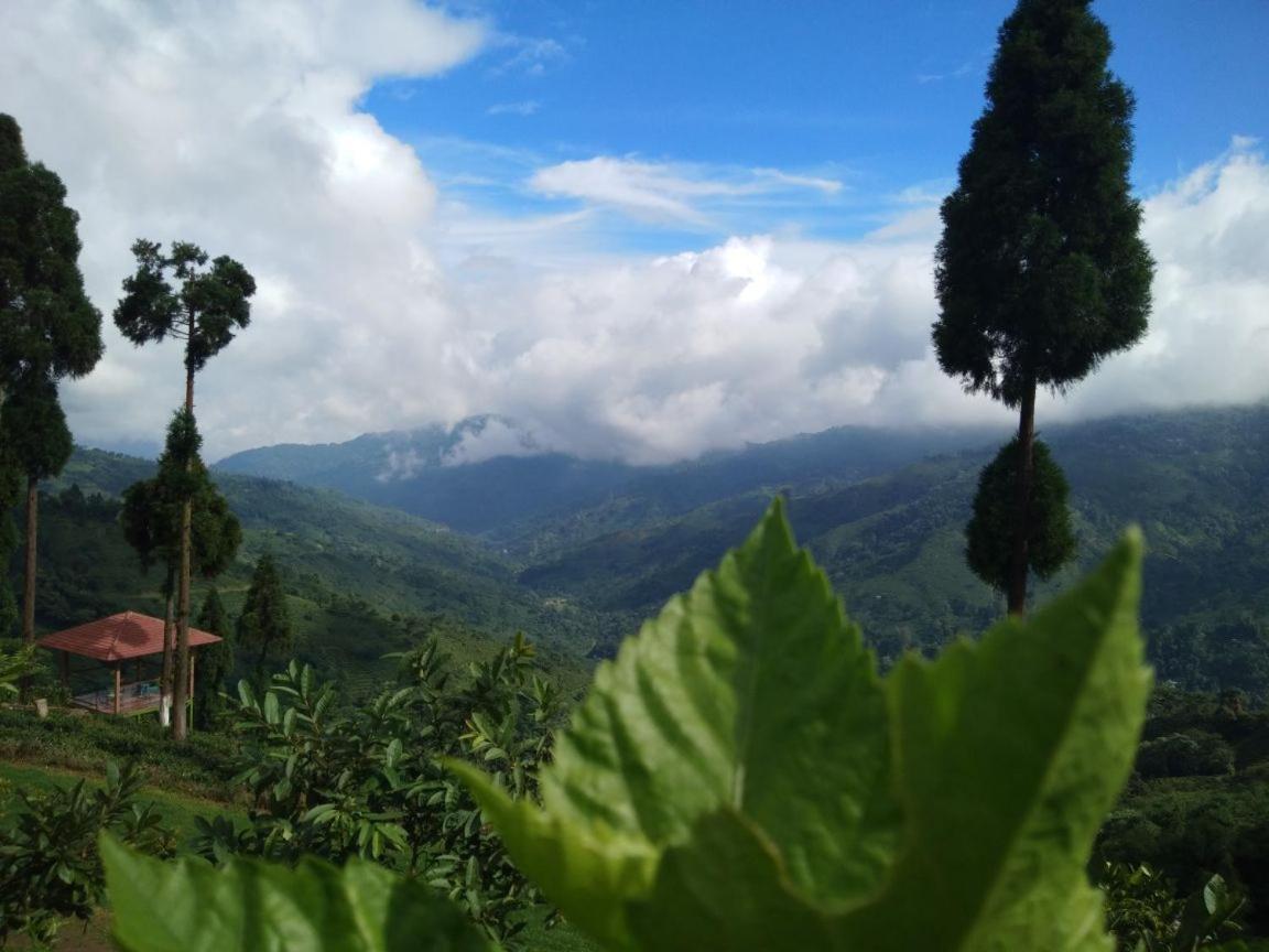 Resort Chamong Chiabari - Mountain Retreat & Darjeeling (West Bengal)