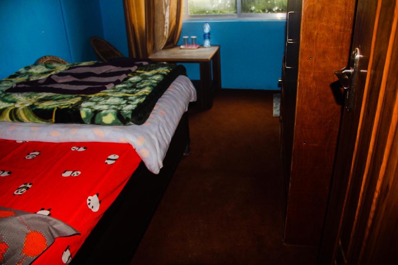Homestay Riva Homestay *